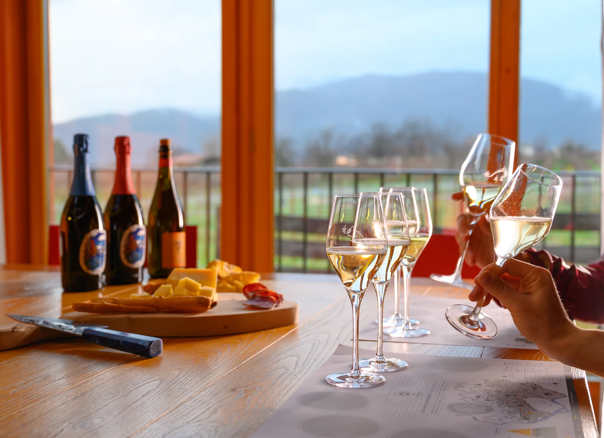 Tour e degustazione di Prosecco Superiore DOCG alla Cantina Fasol Menin con vista sulle colline