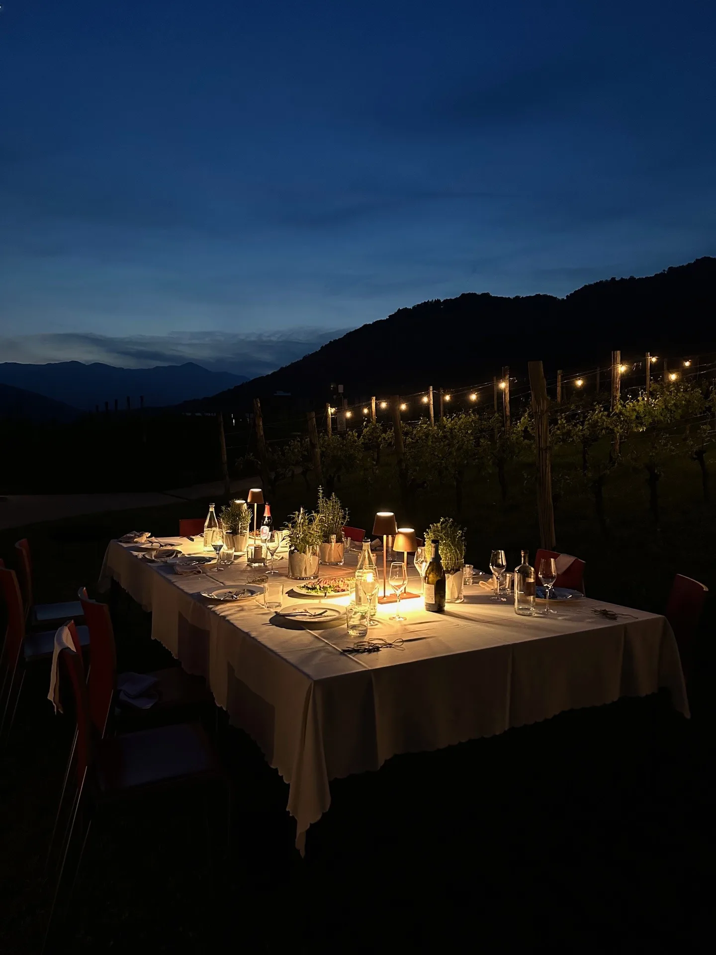 Tavolo imbandito a lume di candela tra i vigneti per un matrimonio al Relais Borgo Taurino