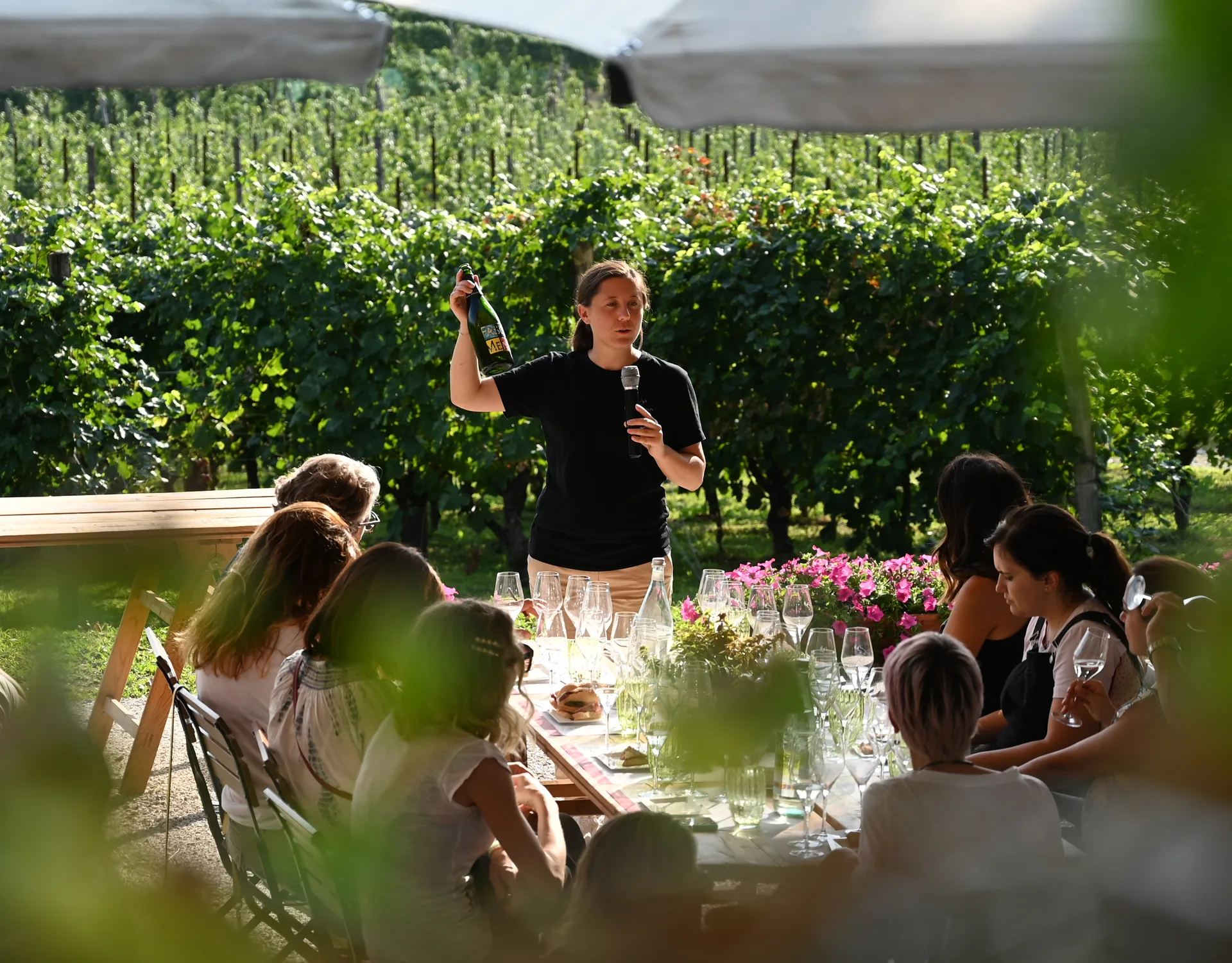 Outdoor wine tasting among the vineyards